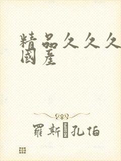 精品久久久综合国产