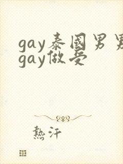 gay泰国男男gay做受