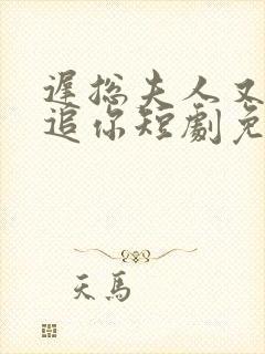 迟总夫人又在倒追你短剧免费观看封面