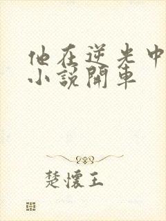 他在逆光中告白小说开车