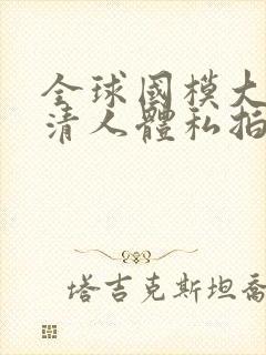 全球国模大胆高清人体私拍