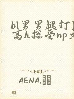 bl男男腿打开高h总受np文