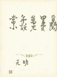 当年万里觅封侯小说免费阅读全文