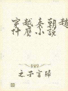 穿越秦朝赵浪是什么小说