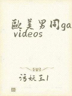 欧美男同gay videos