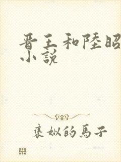 晋王和陆昭菱的小说