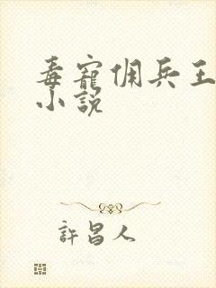 毒宠佣兵王妃听小说封面