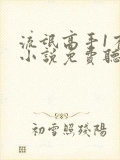 流氓高手1有声小说免费听封面