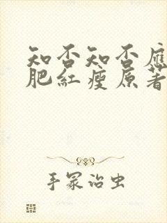 知否知否应是绿肥红瘦原著小说是什么