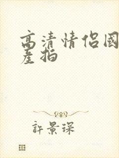 高清情侣国语自产拍