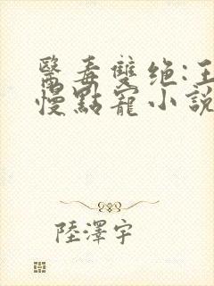 医毒双绝:王爷慢点宠小说