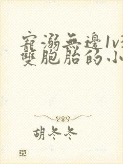 宠溺无边1v3双胞胎的小说