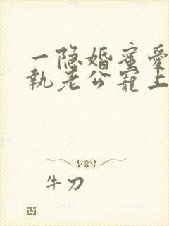 一隐婚蜜爱:偏执老公宠上瘾