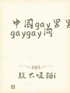 中国gay男男gaygay网