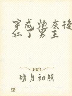 穿成炮灰后我捧红了男主