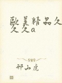 欧美精品久久久久久a