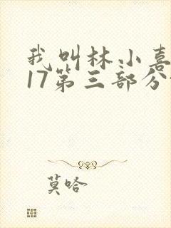 我叫林小喜今年17第三部分txt小说