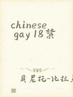 chinese gay 18禁