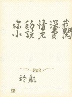 你的情深我不配小说免费阅读全文