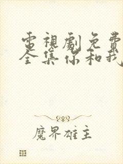 电视剧免费观看全集你和我的倾城时光