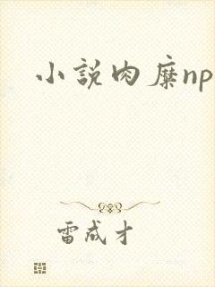 小说肉糜np