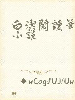 白洁阅读笔趣阁小说