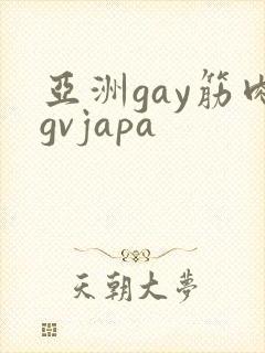 亚洲gay筋肉gvjapa
