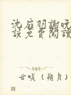 沈庭羽谢晚晚小说免费阅读最新章节