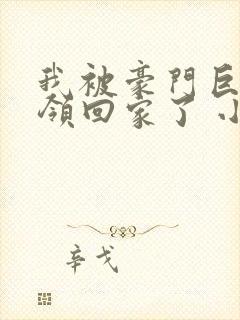 我被豪门巨佬们领回家了 小说