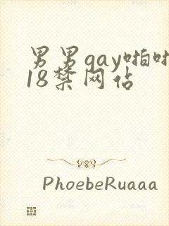 男男gay啪啪18禁网站