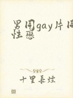 男同gay片同性恋