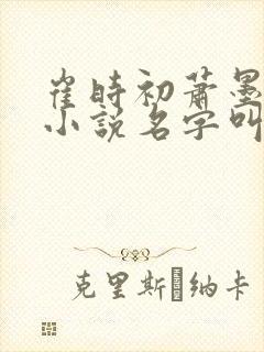 崔时初萧墨染的小说名字叫什么