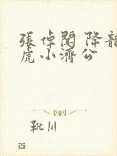 张倬闻 降龙伏虎小济公