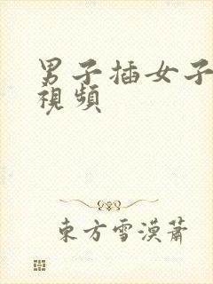 男子插女子下体视频封面