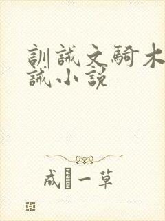 训诫文骑木马训诫小说