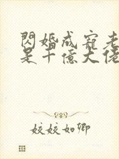 闪婚成宠老公竟是千亿大佬