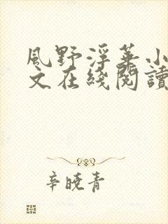 风野浮华小说全文在线阅读