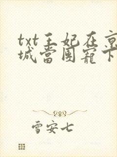 txt王妃在京城当团宠下载