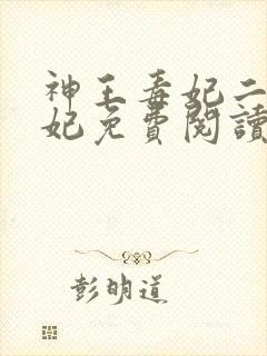 神王毒妃二嫁王妃免费阅读全文