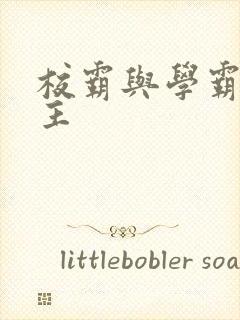 校霸与学霸双男主