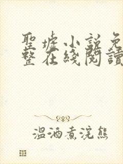 圣墟小说免费完整在线阅读封面