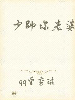 少帅你老婆跑了封面