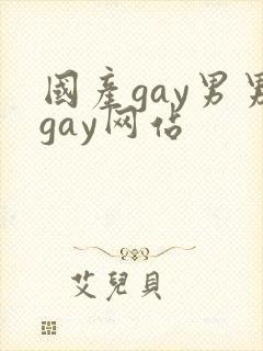 国产gay男男gay网站