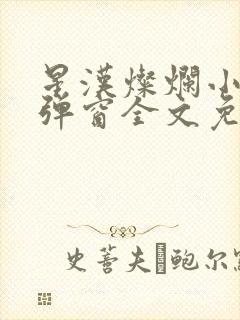 星汉灿烂小说无弹窗全文免费阅读封面