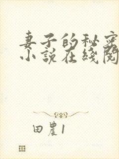 妻子的秘密薛星小说在线阅读封面