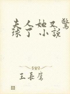 夫人她又惊艳全球了 小说