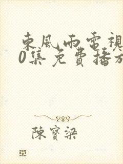 东风雨电视剧40集免费播放在线观看