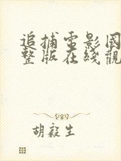 追捕电影国语完整版在线观看免费封面