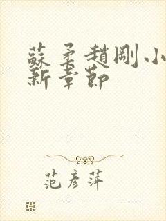 苏柔赵刚小说最新章节封面