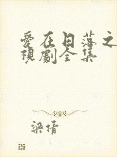 爱在日落之前电视剧全集